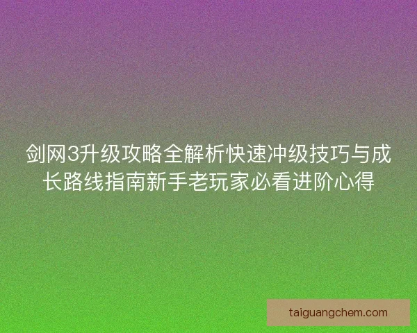 剑网3升级攻略全解析快速冲级技巧与成长路线指南新手老玩家必看进阶心得