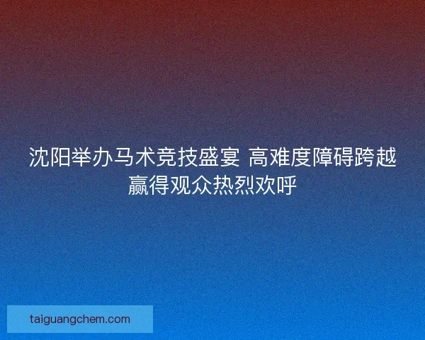沈阳举办马术竞技盛宴 高难度障碍跨越赢得观众热烈欢呼