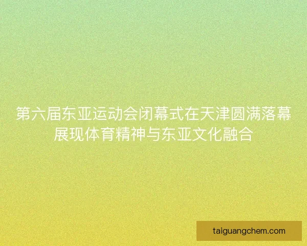 第六届东亚运动会闭幕式在天津圆满落幕展现体育精神与东亚文化融合